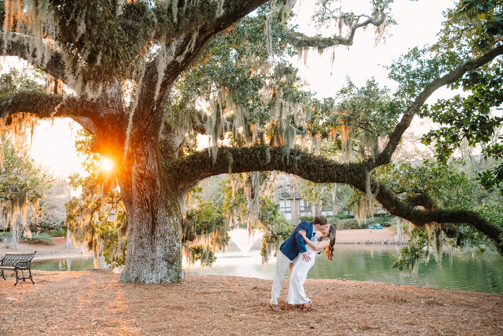 Groom Dips bride for a kiss under a live oak tree at the Grand Hotel