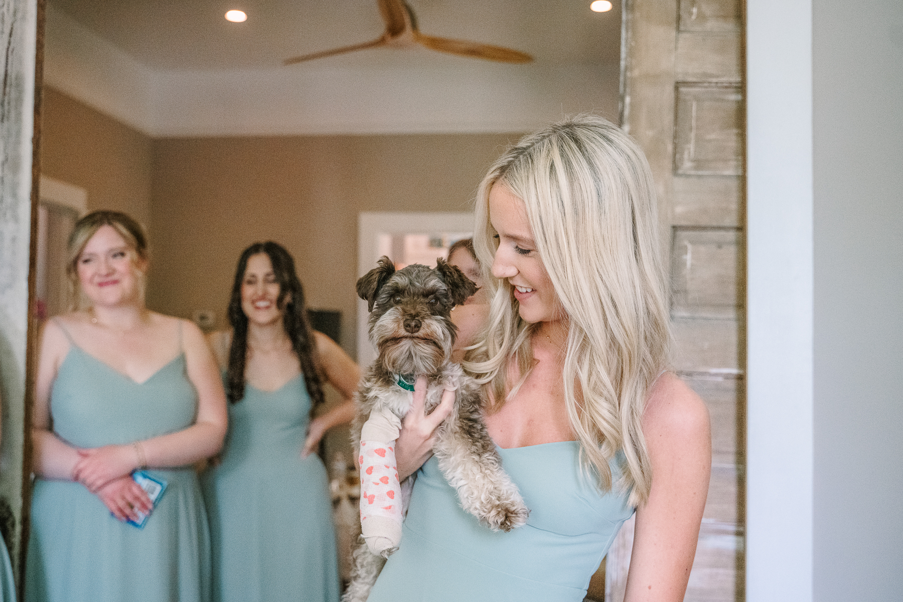 Bridesmaid holding brides dog